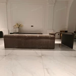 Curved Coffee Table with Natural Burl Veneer and High-Gloss Finish